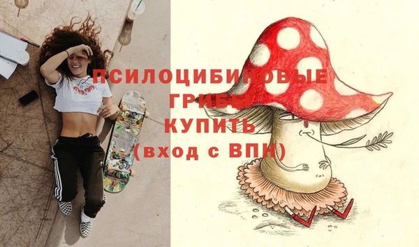 mdpv Арсеньев