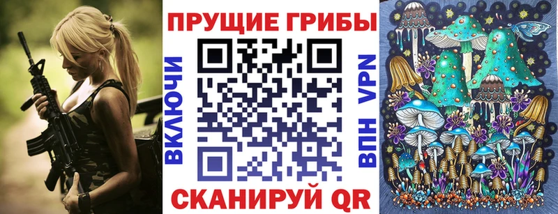 наркошоп  Судогда  blacksprut сайт  Псилоцибиновые грибы прущие грибы 